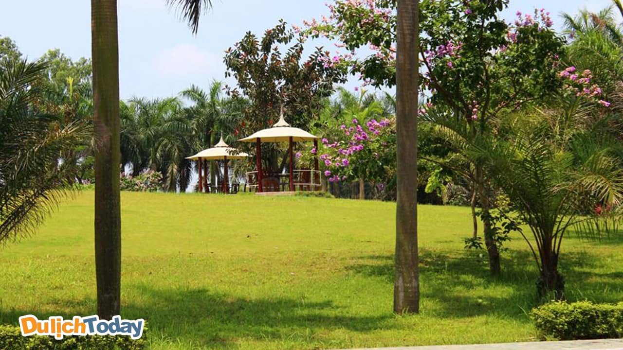Nhà hàng Lộc Vừng có khu bãi rộng để tổ chức sự kiện, cắm trại, teambuilding ngoài trời.