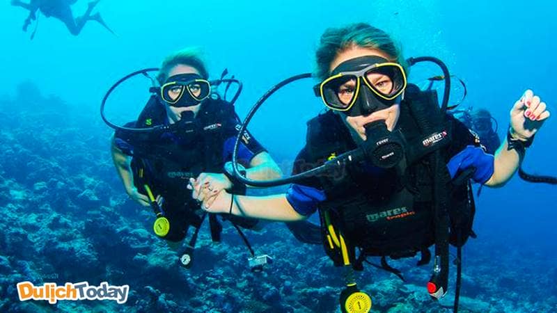 Try dive là hình thức lặn thử với bình oxi dành cho những người mới bắt đầu