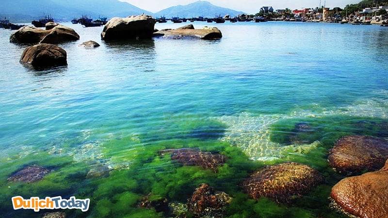 Đảo Bình Hưng với bãi biển thoai thoải, không sâu và làn nước trong nên dễ dàng nhìn thấy san hô dưới nước