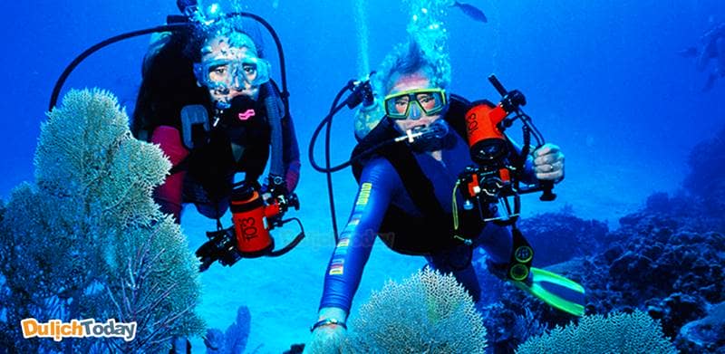 Lặn biển tại Hòn Mun là một trong những tour khám phá và vui chơi nổi bật