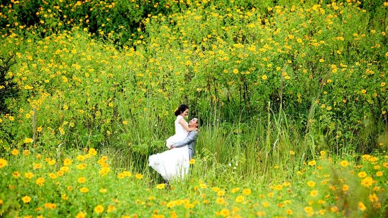 Cánh đồng hoa dã quỳ hồ Tuyền Lâm là địa điểm chụp ảnh cưới lý tưởng. Nguồn: Internet
