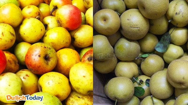 Hai loại quả đặc sản mùa thu Sapa mà bạn không thể bỏ qua