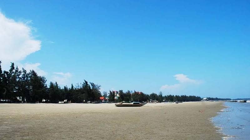 Bãi biển Trà Cổ dài, được bao bọc bởi rặng phi lao bát ngát là điểm du lịch Quảng Ninh nổi tiếng. Nguồn: Mytour.vn