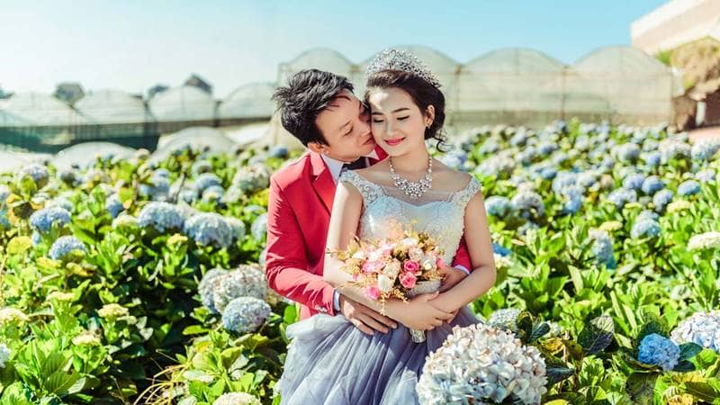 Cặp đôi chụp ảnh cưới tại vườn hoa cẩm tú cầu Đà Lạt. Nguồn: Internet