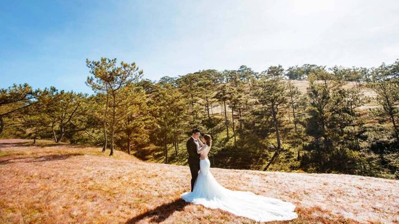 Cặp đôi chọn đồi cỏ hồng Đà Lạt làm địa điểm chụp ảnh cưới. Nguồn: Internet