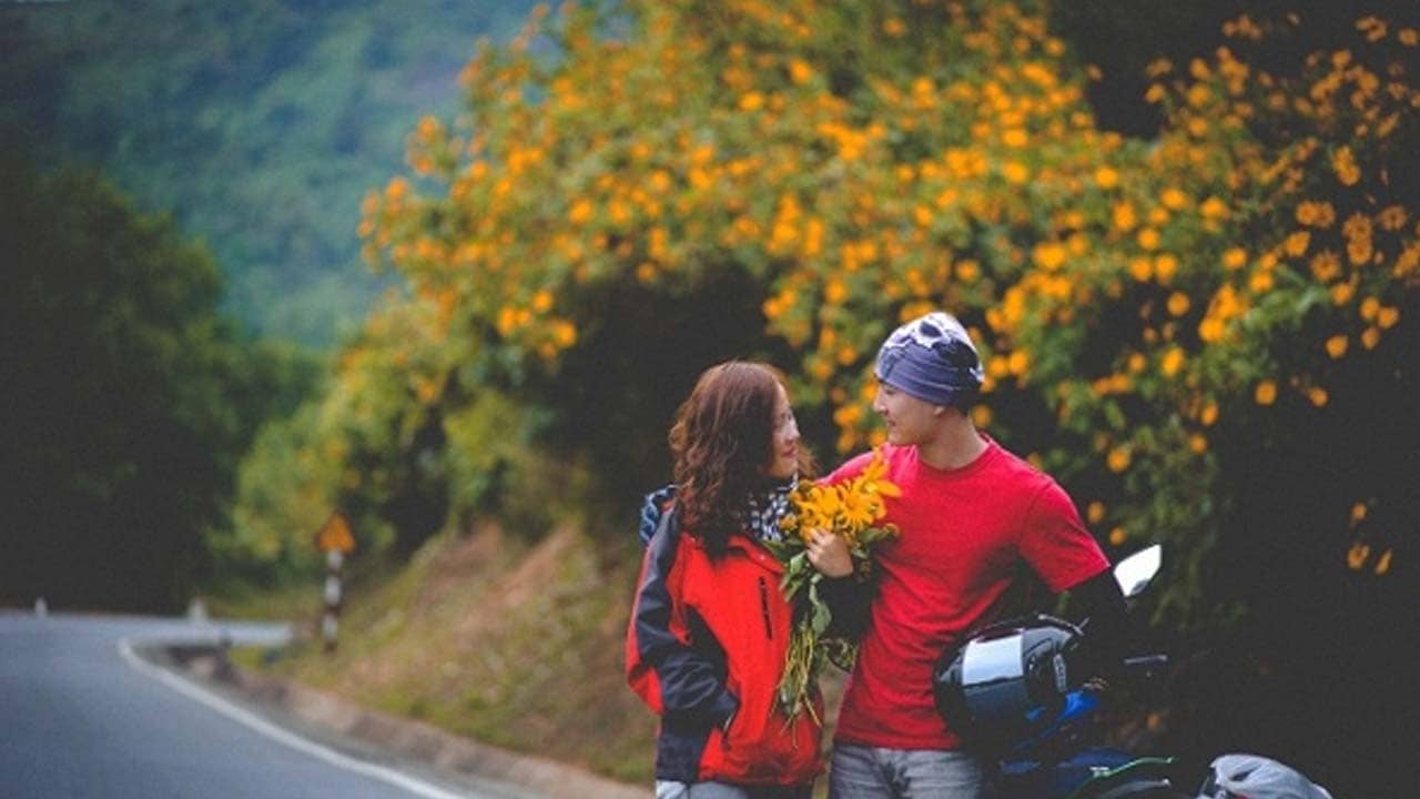 Đèo Prenn là địa điểm phượt ở Đà Lạt lý tưởng để ngắm hoa dã quỳ vào dịp cuối năm. Nguồn: Internet