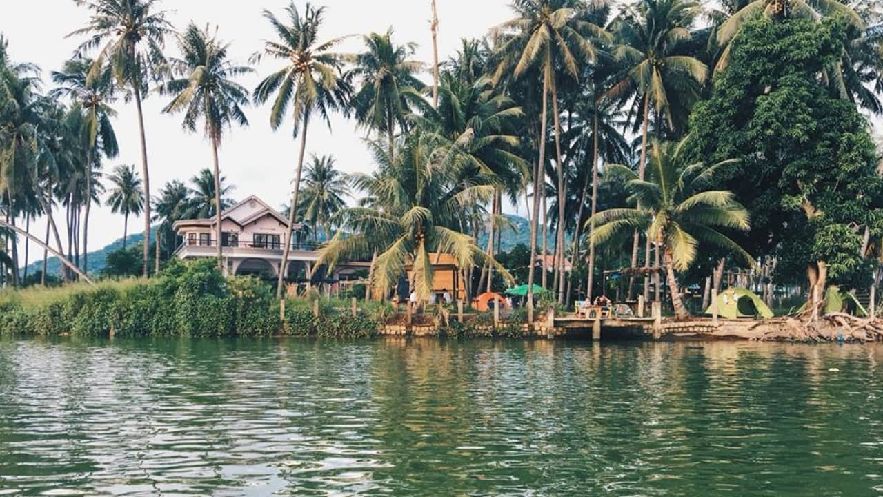 Nhà bên sông giống như một ốc đảo dừa nằm bên sông Cái