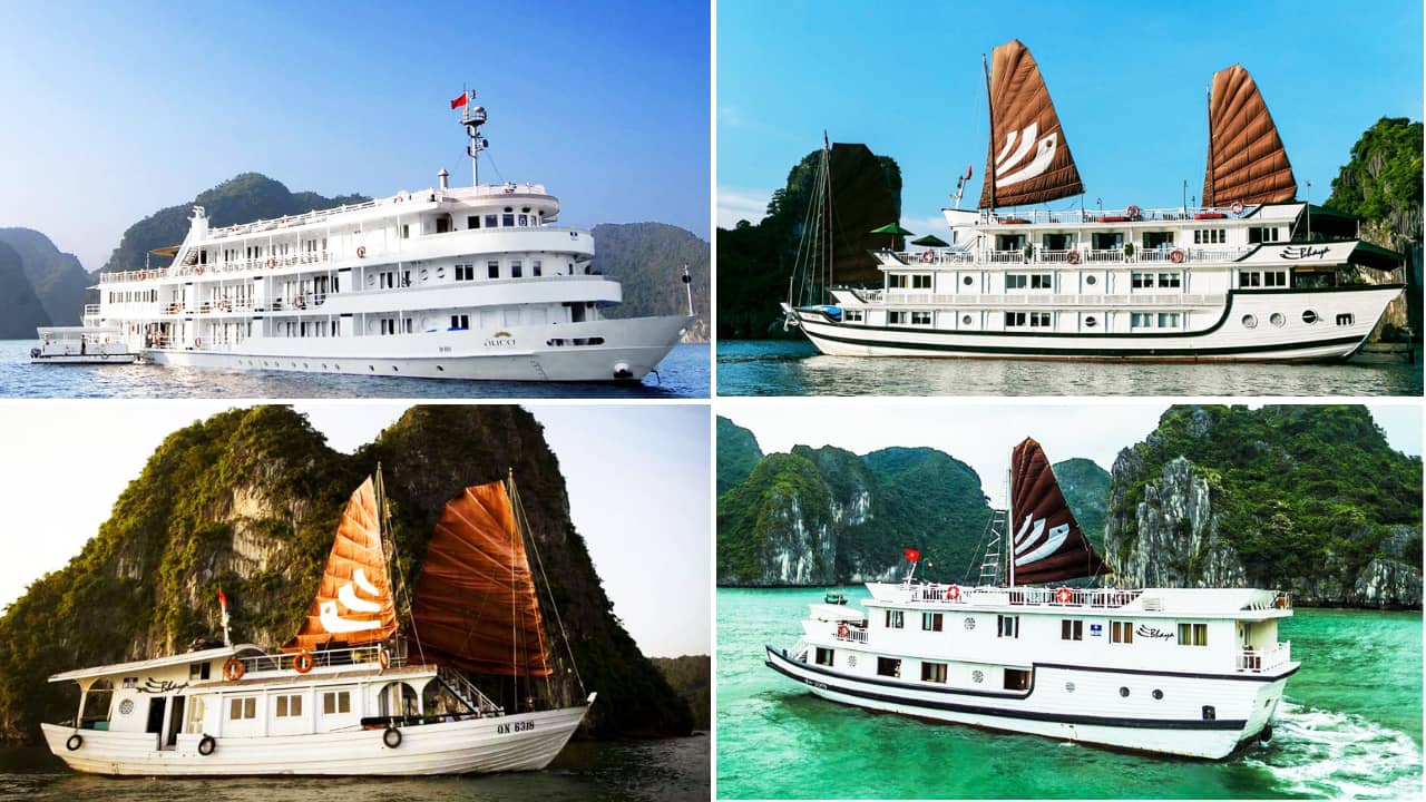 Bốn dòng du thuyền Bhaya Hạ Long với những mức giá khác nhau. Nguồn: Internet