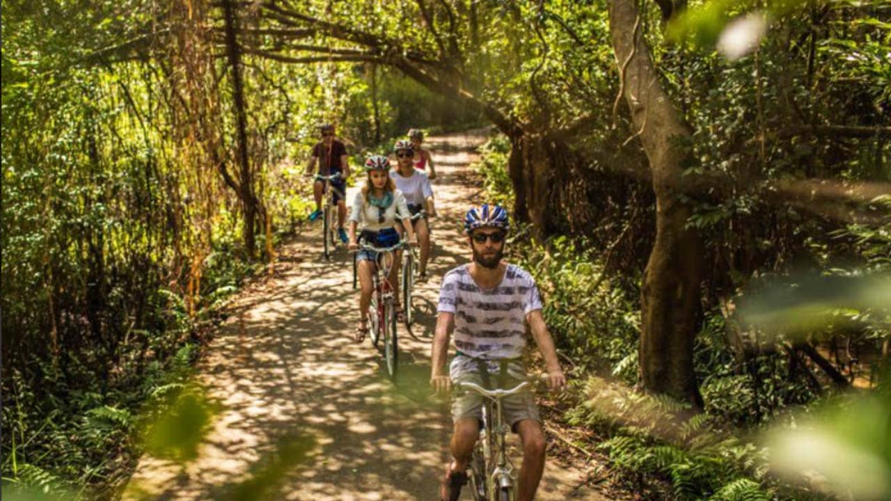 Đạp xe khám phá rừng quốc gia ở đảo Cát Bà. Nguồn: Internet