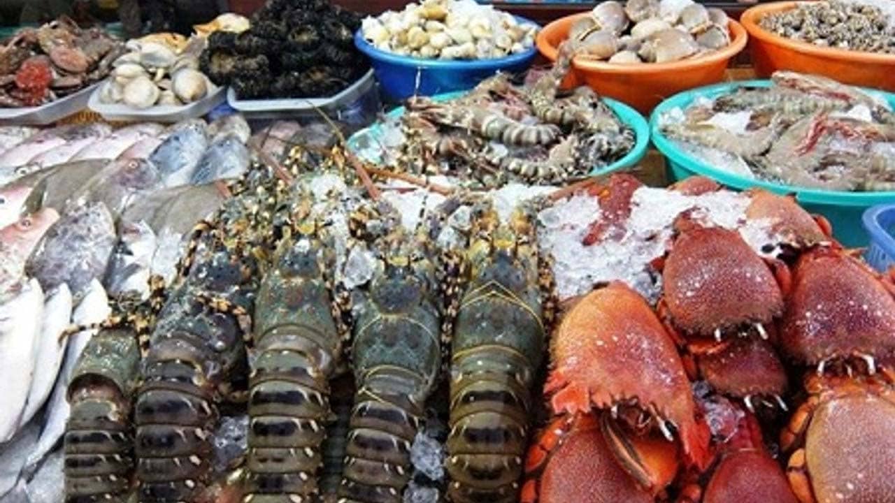 Du lịch Cô Tô đừng quên thưởng thức các món hải sản. Nguồn: Internet