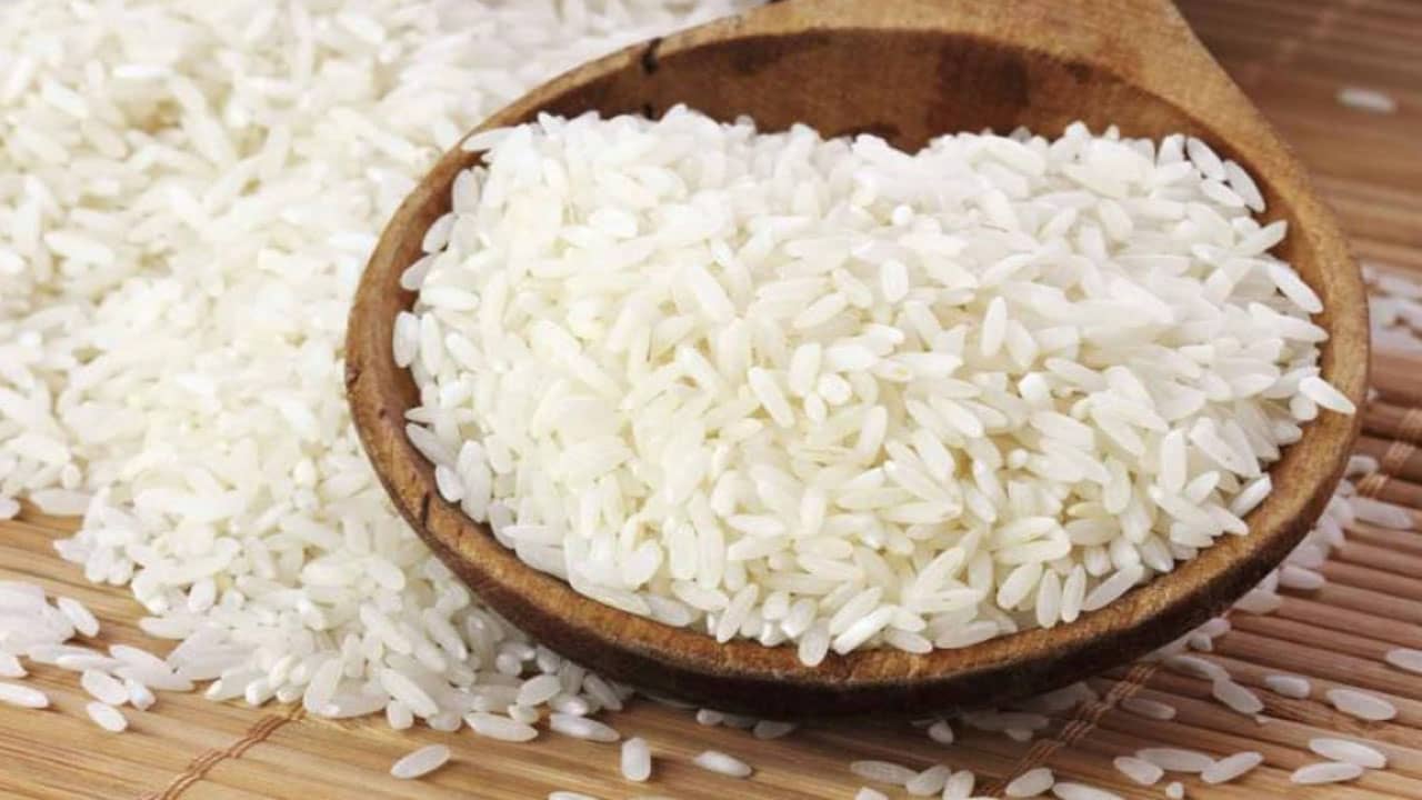Gạo tám có hạt nhỏ, thon dài, cơm dẻo mềm, săn hạt, vị ngọt đậm, ngon cơm