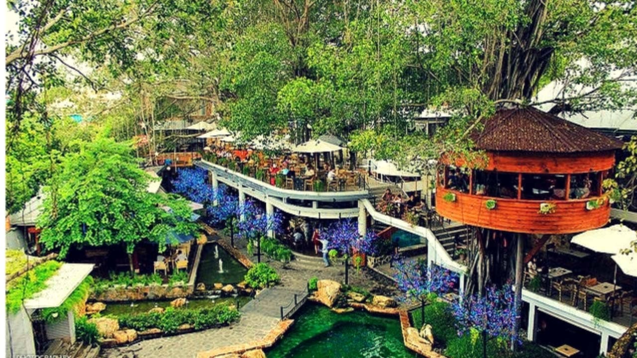 Du Miên Garden - quán cafe trên cây cho bạn view sân vườn xanh mát
