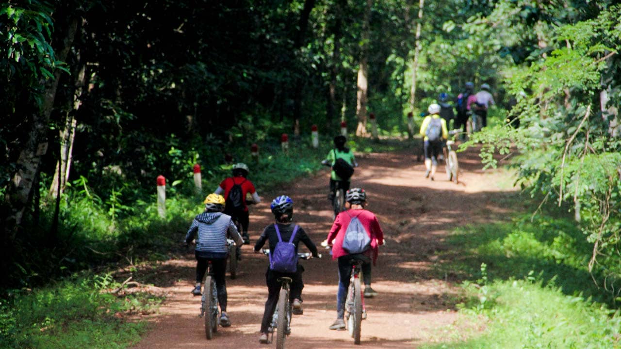 Đạp xe xuyên rừng tham quan Vườn Quốc gia Ba Vì. Nguồn: Internet