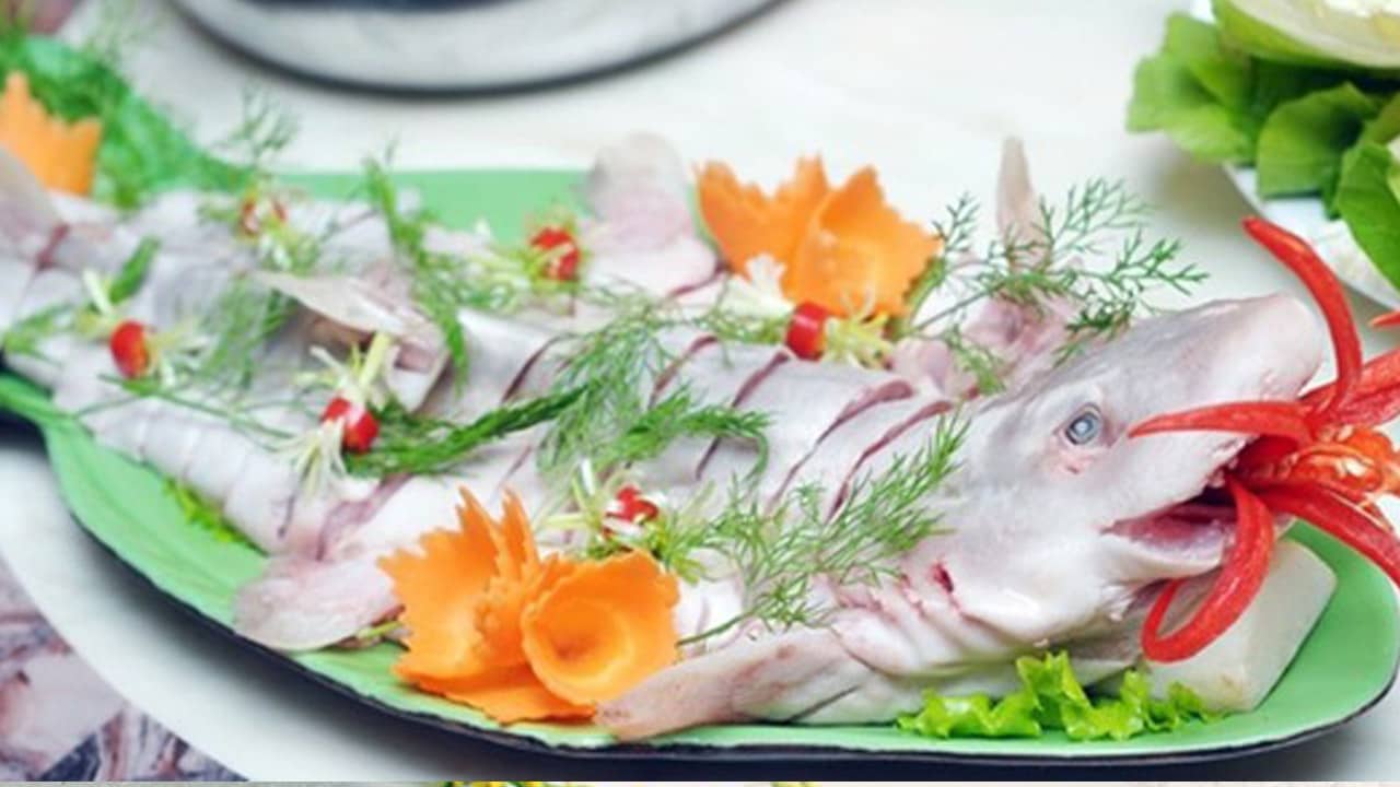 Đến với mảnh đất Quảng Bình, bạn chỉ cần một lần thưởng thức các món ngon từ cá nghéo như cháo, lẩu cá nghéo bạn sẽ cả đời không quên