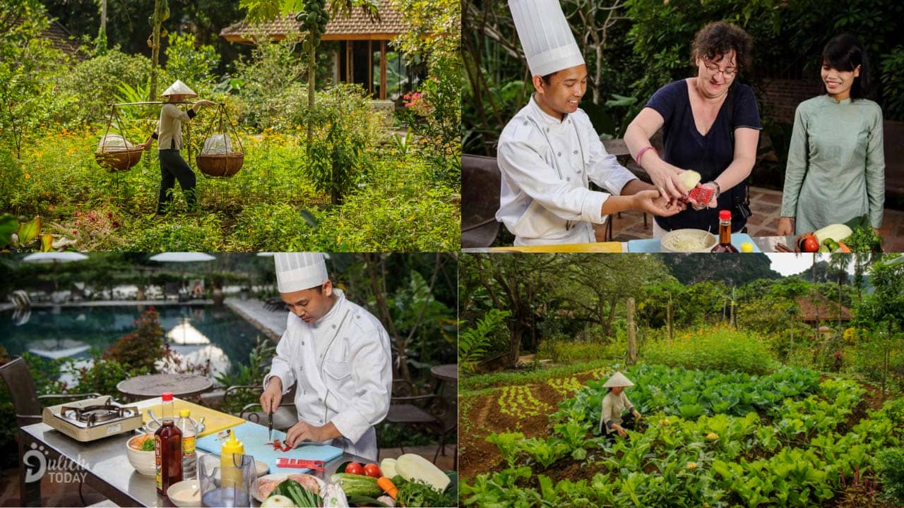 Du khách thu hoạch rau tại vườn và tham gia lớp học nấu ăn tại resort