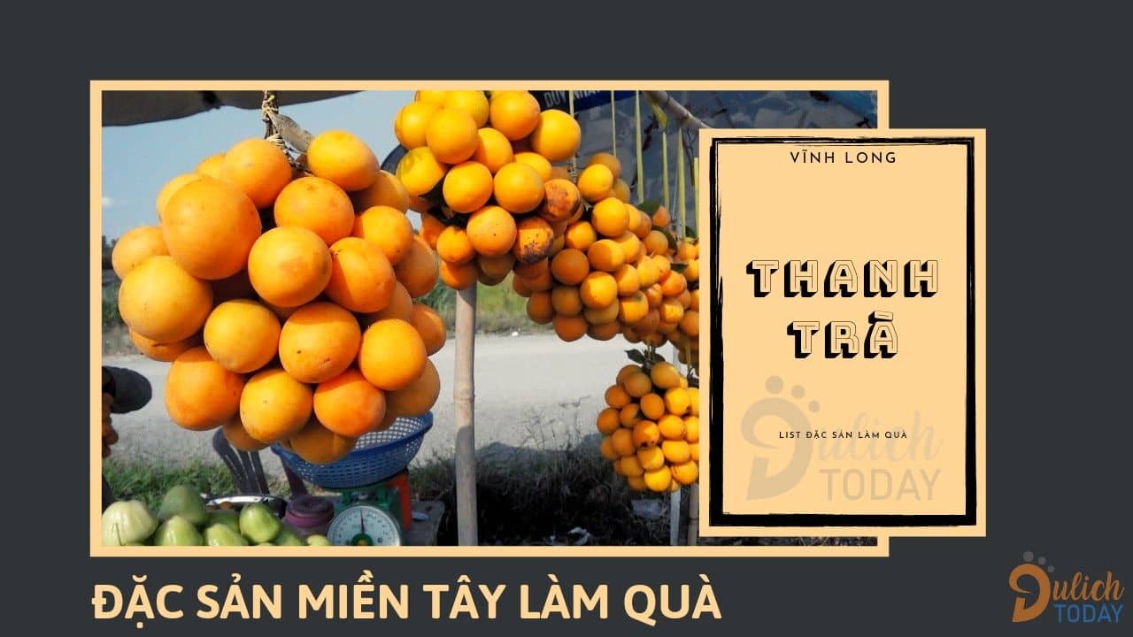 Thanh Trà là loại quả đặc sản miền Tây làm quà có 1-0-2 nơi tỉnh Vĩnh Long