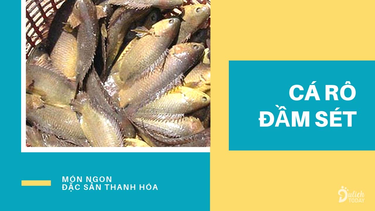 Cá rô Đầm Sét là một trong những món cá đặc sản Thanh Hóa du khách nên thử khi tới xứ Thanh