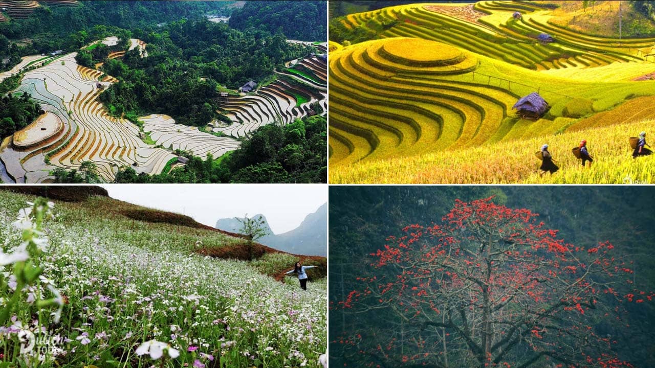 Mỗi mùa du lịch cao nguyên đá Đồng Văn Hà Giang đều có nét đẹp riêng