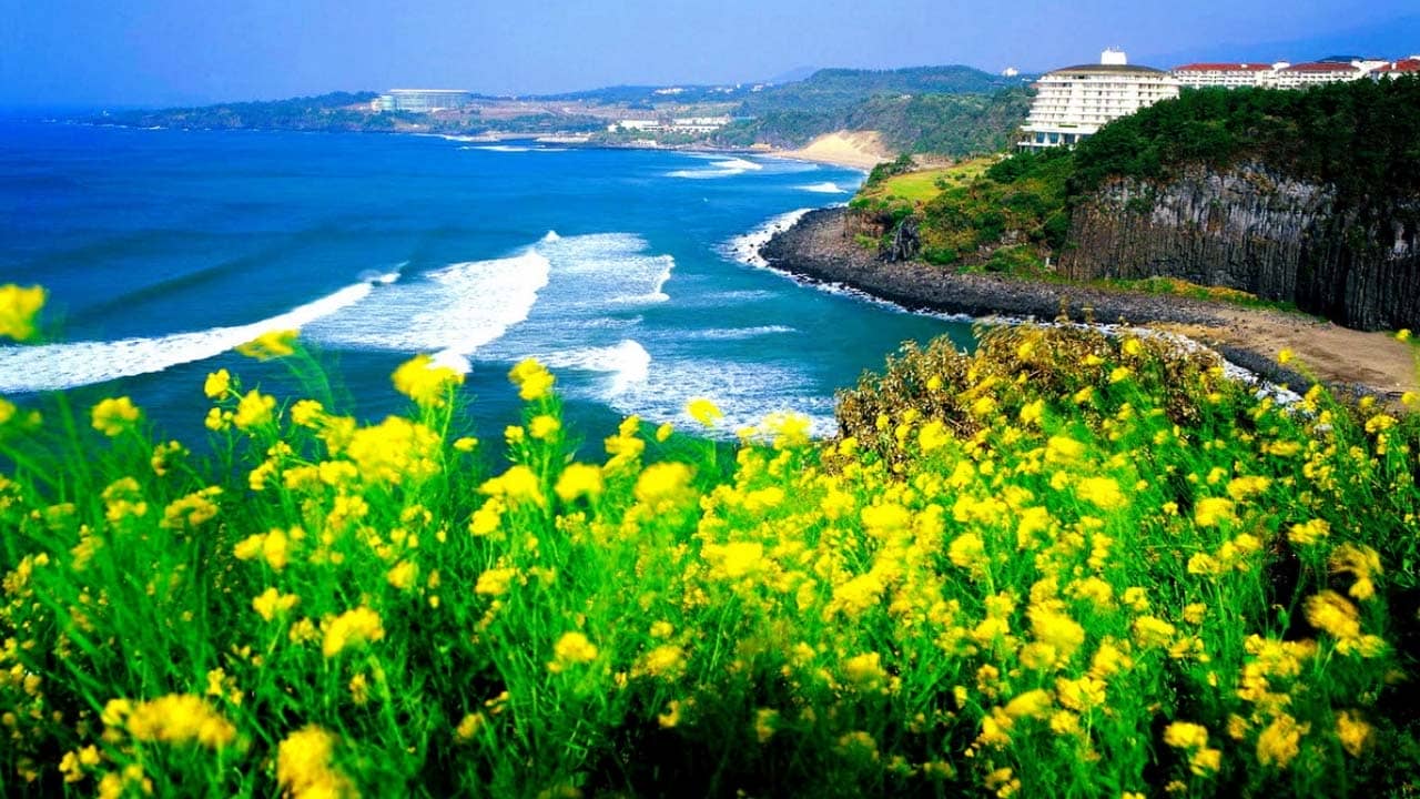 Tham quan nghỉ dưỡng tại quần đảo đẹp nhất Châu Á: Jeju