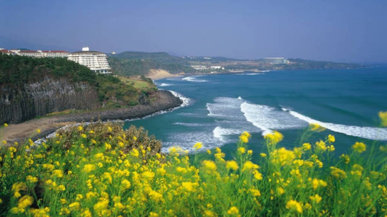Đảo Jeju Hàn Quốc