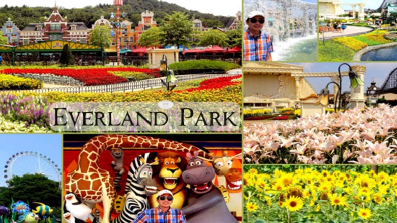 Du khách vui chơi tại công viên Everland - công viên chủ đề lớn nhất ở Hàn Quốc