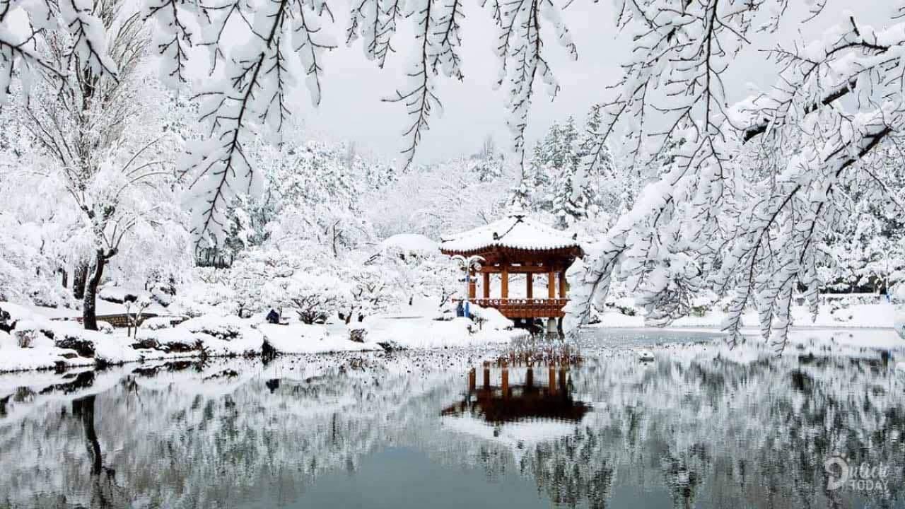 Thời tiết lạnh giá tháng 12 tại Hàn Quốc
