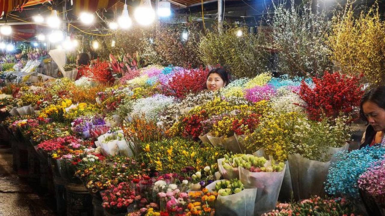 Chợ hoa xuân là nơi hội tụ tất cả những loại hoa đẹp, tươi tắn và được ưa chuộng nhất 