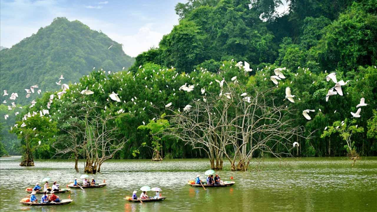 Thung Nham là điểm du lịch gây ấn tượng với du khách bởi vườn chim nổi tiếng.