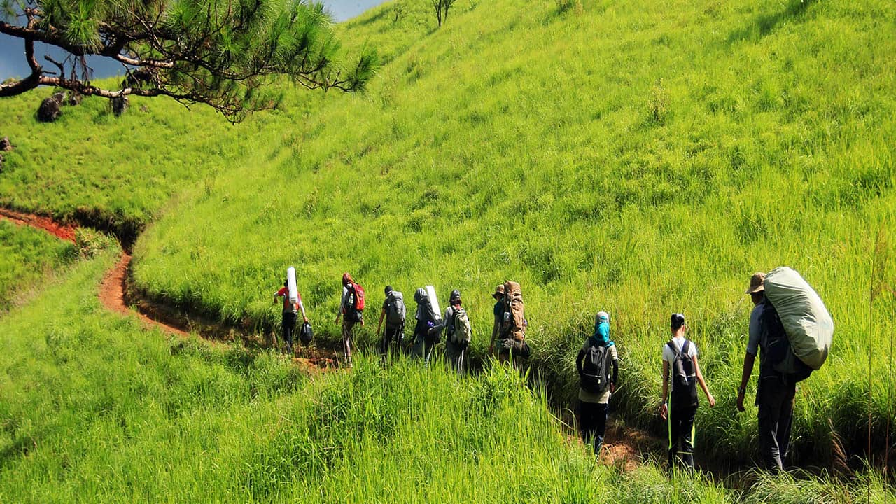Nên có 2 - 3 porter để dẫn đường và kiểm đoàn nếu đội hình người tham gia trekking đông. 