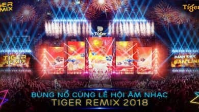 Lễ hội Âm nhạc Tiger Remix Hạ Long 2018