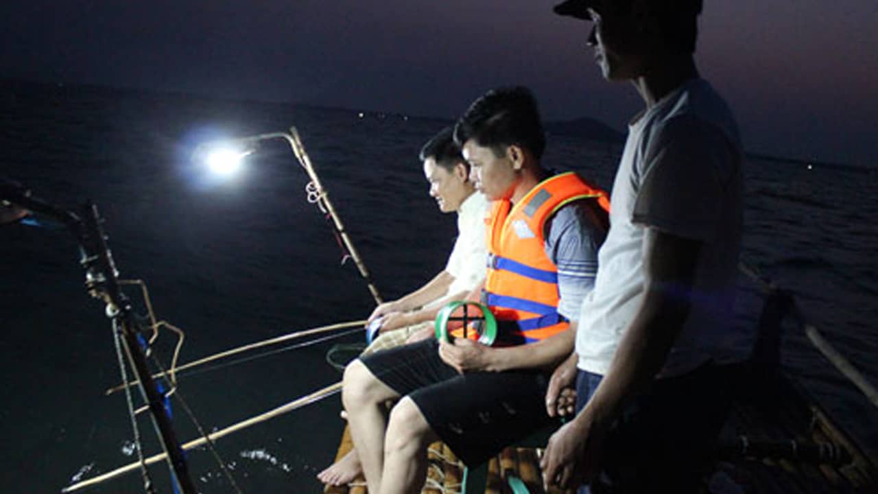Khách sạn Cô Tô Khánh Linh mang đến hoạt động câu cá, mực đêm dành cho du khách. Nguồn: Internet