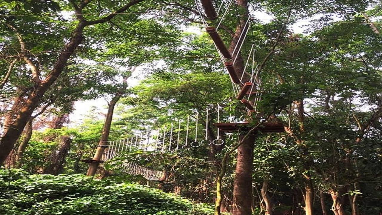 công viên Ozo còn là công viên đầu tiên có hệ thống trò chơi trên cây dài nhất Việt Nam