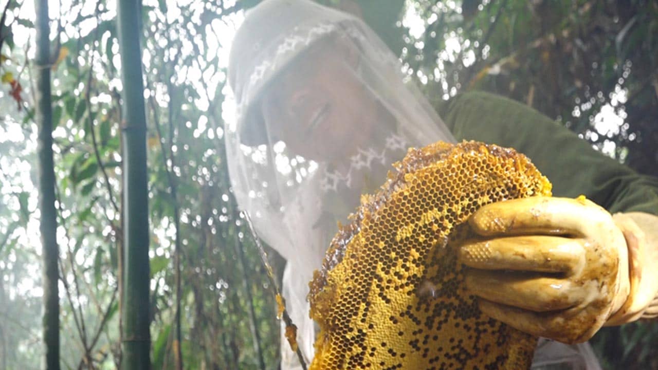 Người dân nhọc công mới lấy được mật ong rừng U Minh