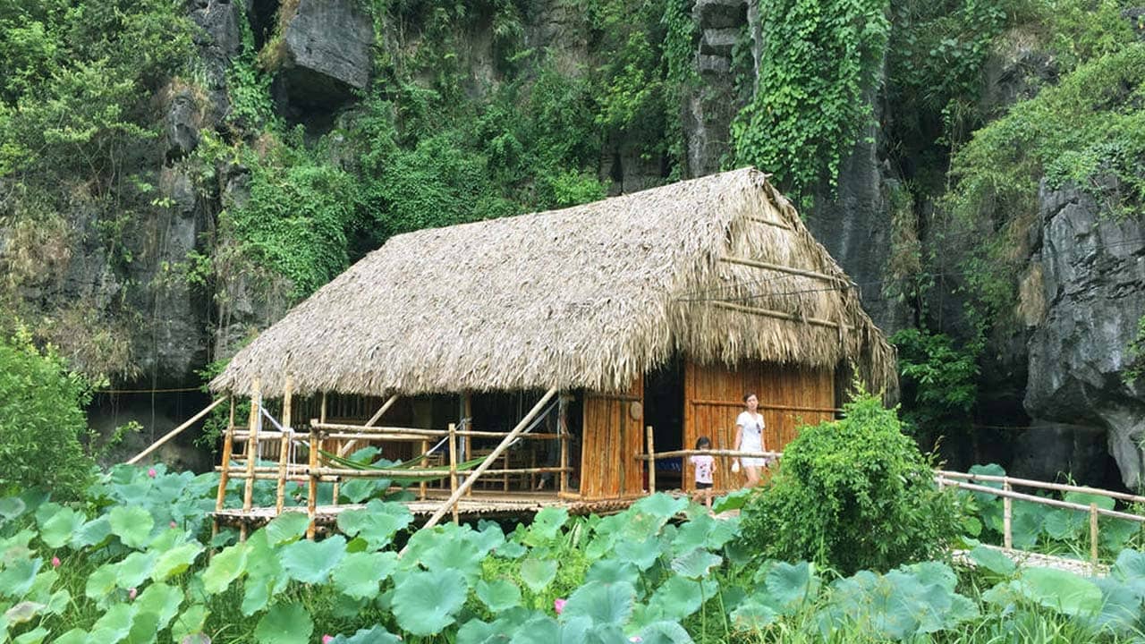 Chezbeo homestay Ninh Bình nằm giữa hồ sen thơm ngát