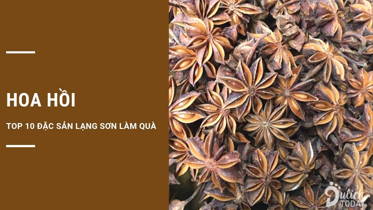Hoa hồi : đặc sản Lạng Sơn làm quà phù hợp cho mọi nhà