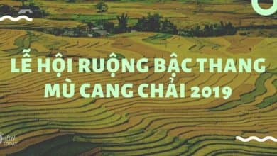 le-hoi-ruong-bac-thang-mu-cang-chai-2019