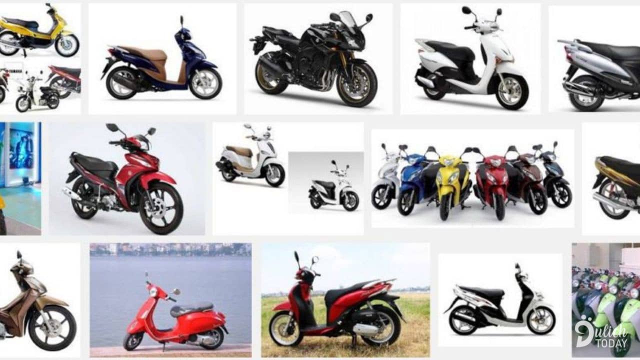 Công ty cho thuê xe máy Thanh Lộc với nhiều loại xe khác nhau. Nguồn: Internet