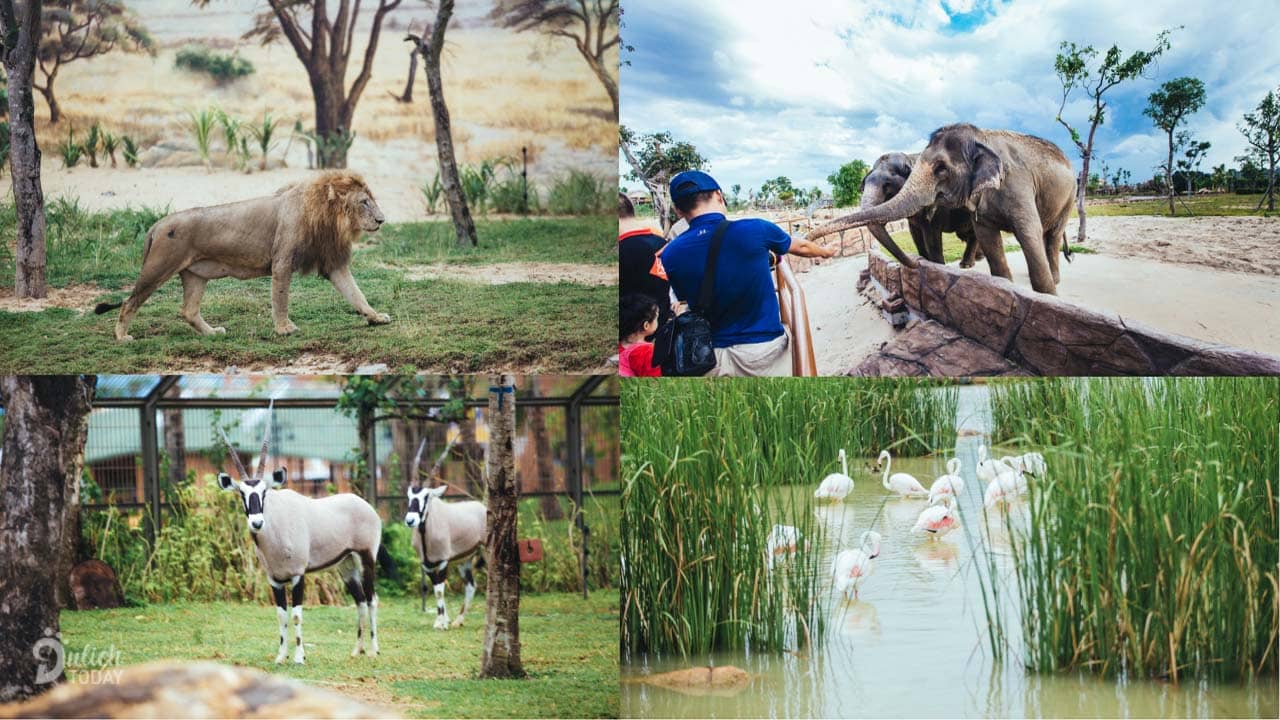 Công viên River Safari Vinpearl Nam Hội An là khu bảo tổn động vật hoang dã trên sông đầu tiên Việt Nam