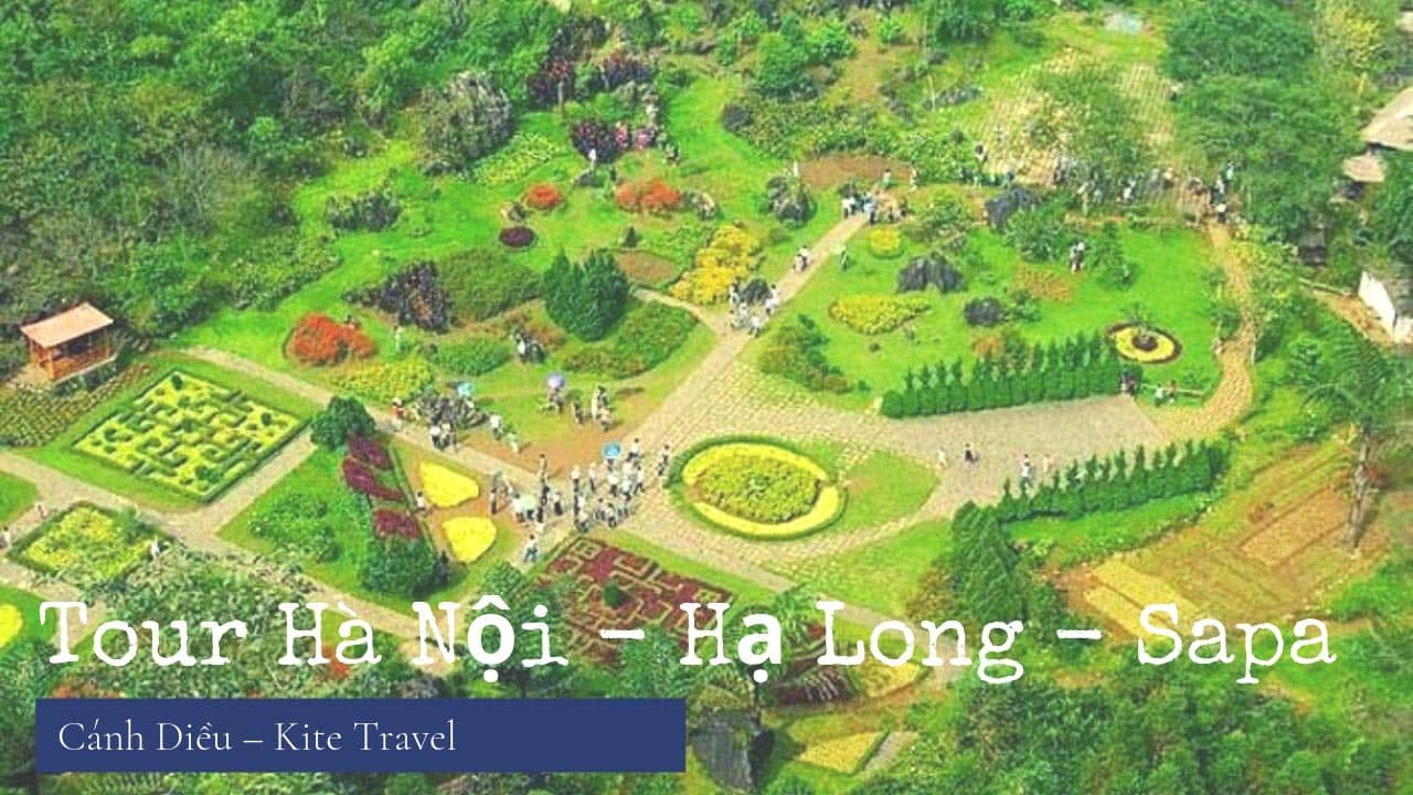 Tour Hà Nội - Hạ Long - Sapa