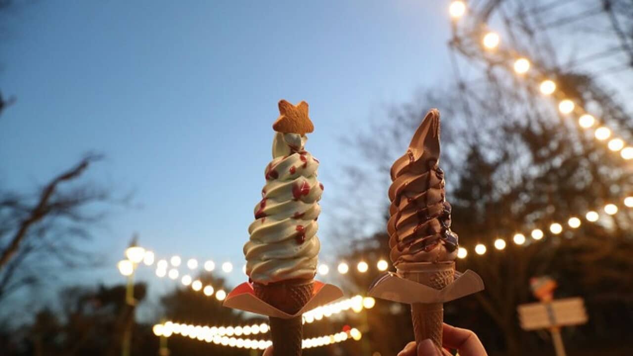 Thưởng thức những que kem mát lạnh đủ vị tại công viên Everland