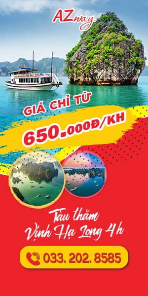 Banner quảng cáo tàu thăm Vịnh Hạ Long 300x600