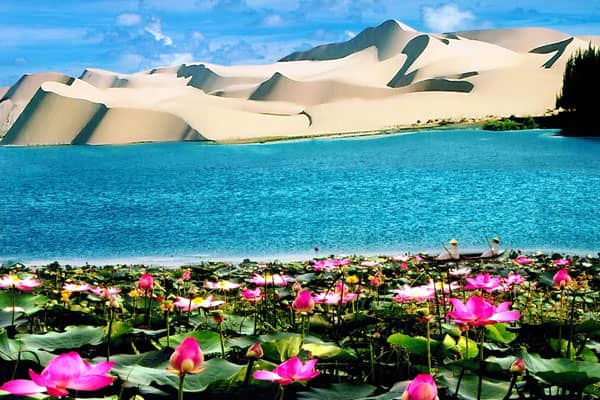 Bàu trắng nổi tiếng với những hồ sen nở rộ giữa đồi cát trắng vào mùa hè còn Bàu sen là biển hồ nước mênh mông, trên mặt nước được bao bọc bởi những động cát tuyệt đẹp.
