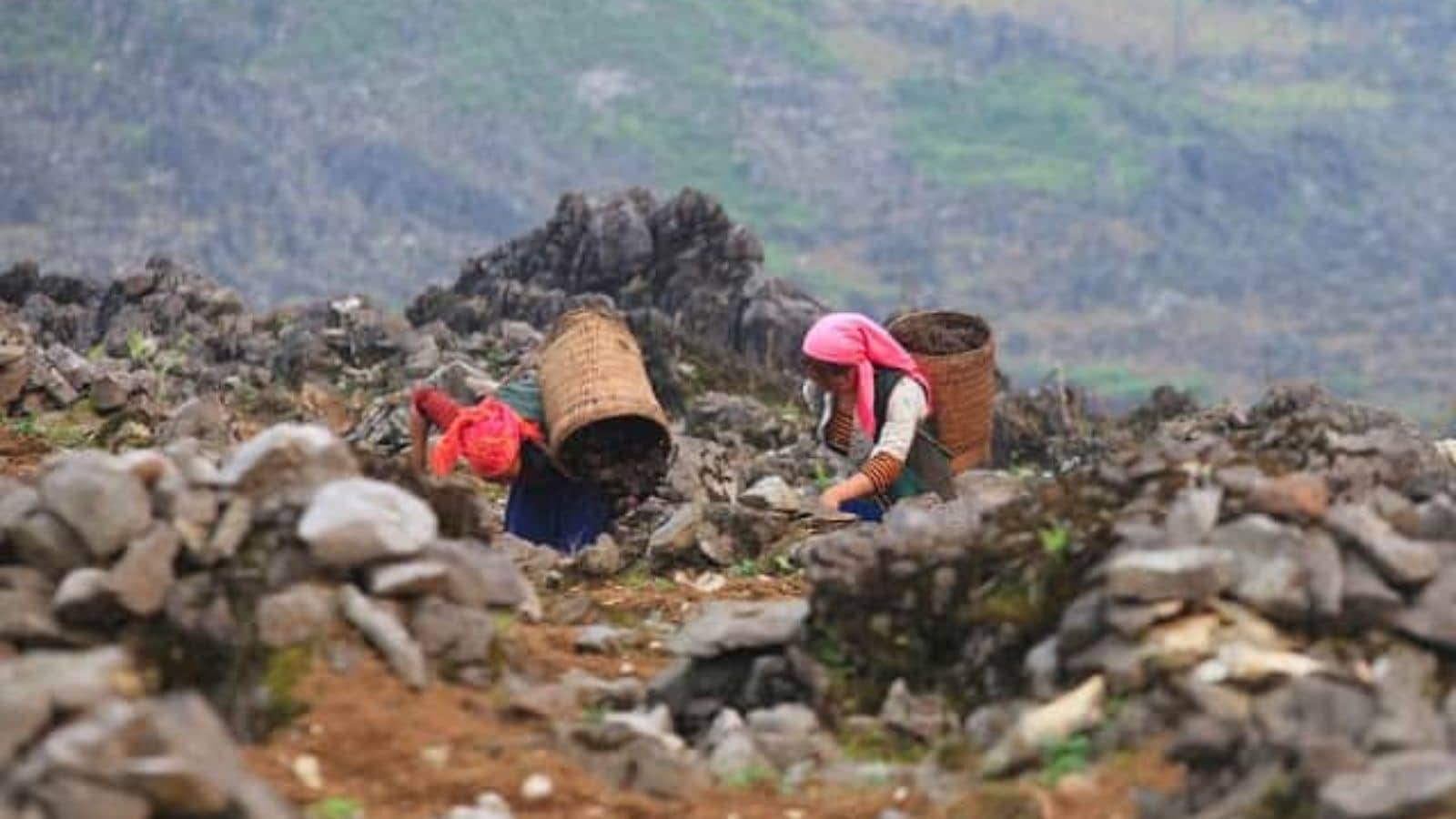 Người dân canh tác trên núi Đồng Văn