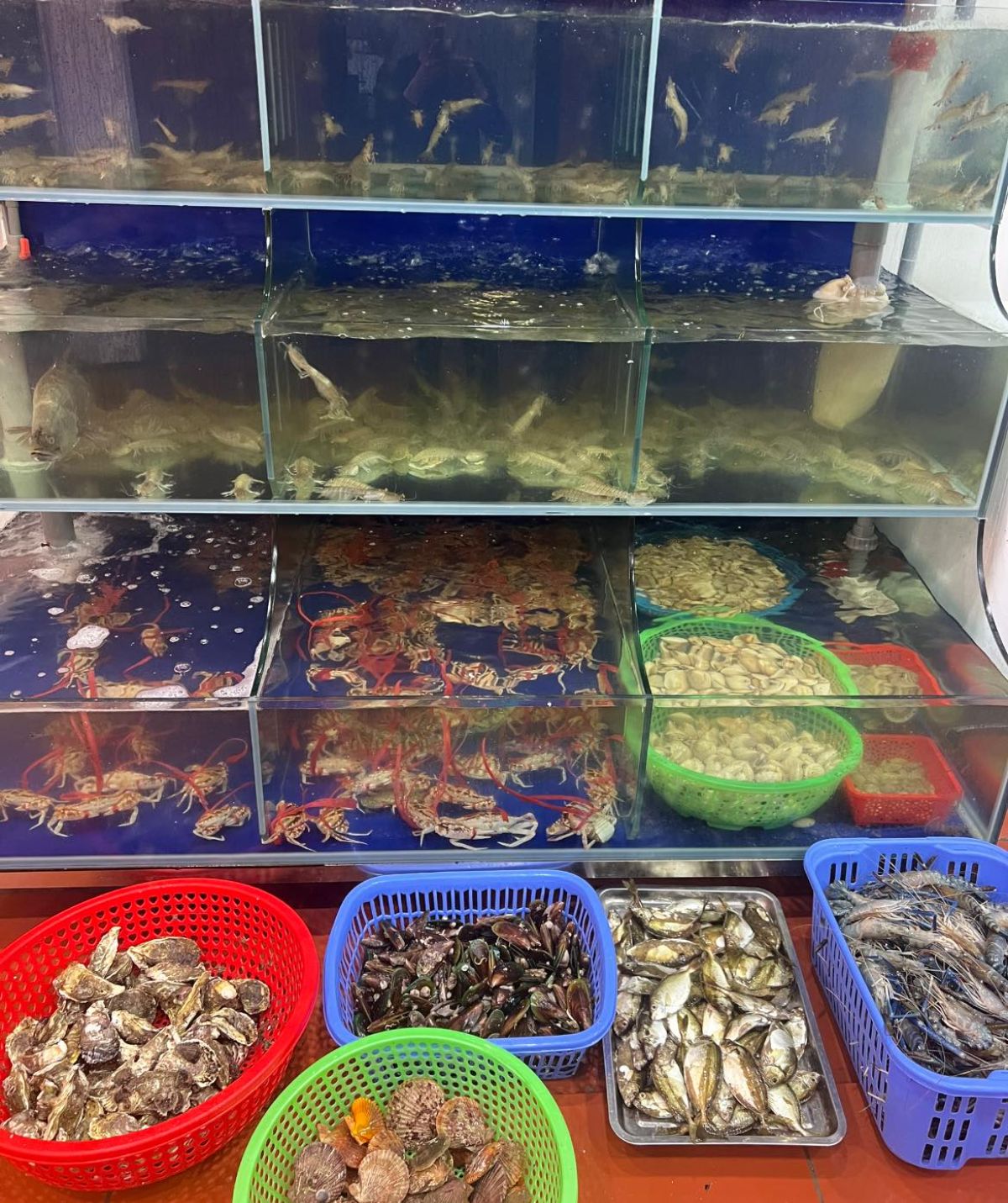 Tủ hải sản còn tươi ngon cho khách tự do lựa chọn