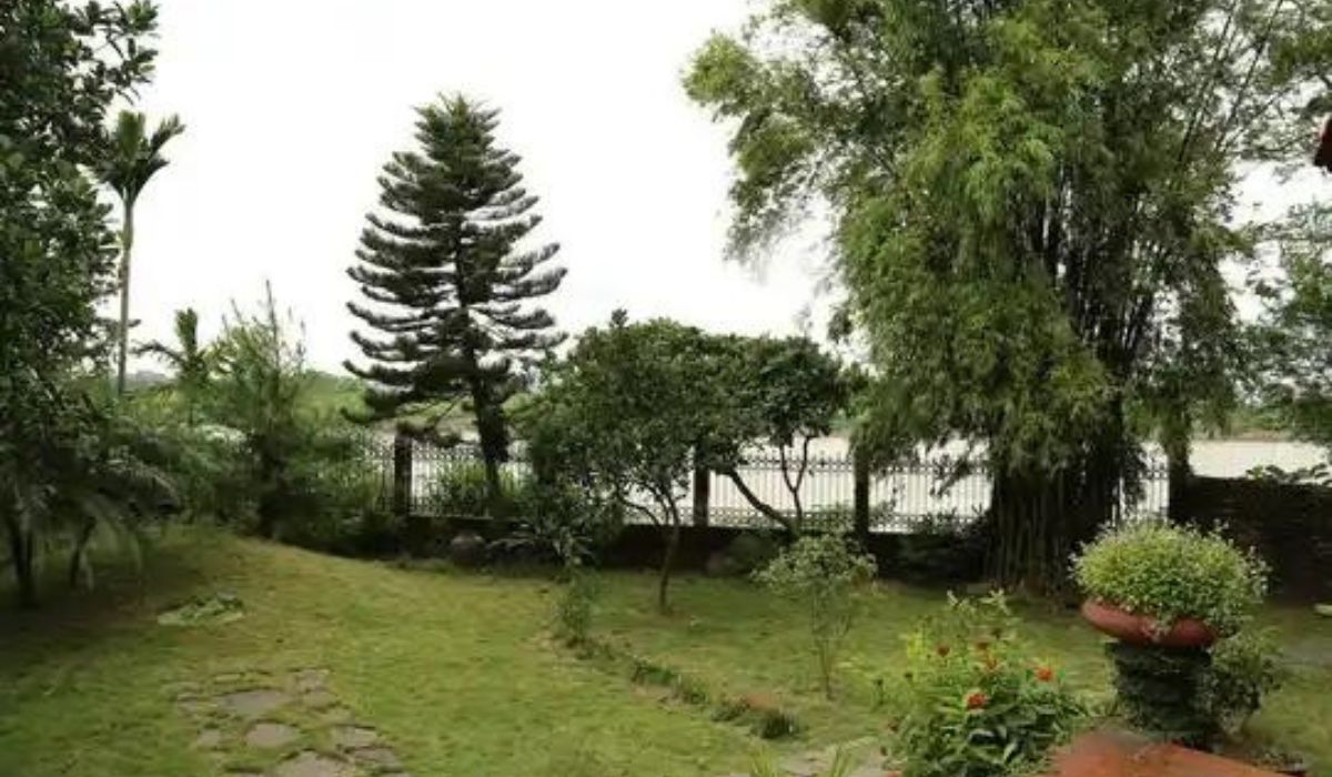 Khu vườn nhiều cây xanh tại homestay Madam Lan Anh Duong River View