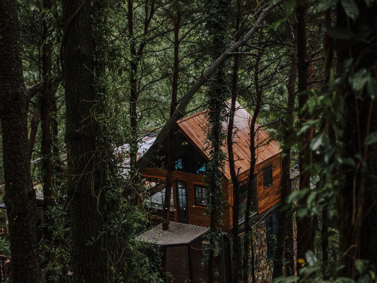 Nhà Rooftop thơ mộng giữa rừng cây