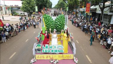 le hoi sau rieng