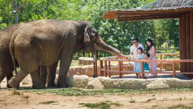Khám phá những thiên đường giải trí nổi bật tại miền Trung 6 kham pha mien trung 1